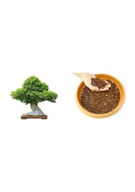 Resim Bonsai Toprağı Özel Karışım 5 L 