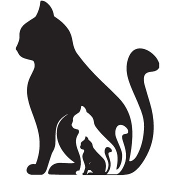 Solar Oyuncak Kedi Siyah 605934