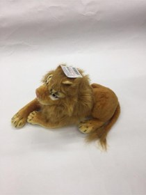 Resim Aslan Kadife Kumaş 45 Cm Pelüş Renkli 