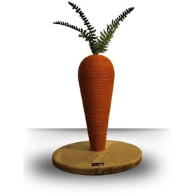 Resim Havuç Tırmalama Tahtası 