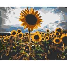 Resim wombhobby AYÇİÇEK TARLASI Sayılarla Boyama Seti 80X100 Cm Çerçeveli (Kasnağa ) Gerili 