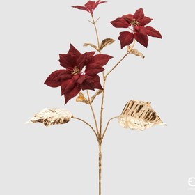 Resim Altın Yapraklı Kırmızı Atatürk Çiçeği 