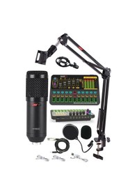 Resim Lastvoice Bm800 Live Platinium Set Efektli Ses Kartı Mikrofon Stand Kayıt Canlı Yayın Seti 