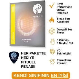 Resim AyrStore Klasik Gitar Teli Silver Seri Normal Tansiyon SET SCG NT 
