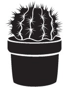 Resim Genel Markalar Byr002 Saksı Çiçeği Kaktüs (Tip 6) 50X75 Cm [Efsngrck] 