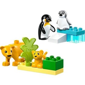 Resim Lego Duplo 10442 Wild Animal Families: Penguins And Lions 