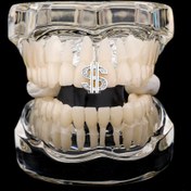 Resim RICH ONE AND ONLY GRILLZ NO.4 