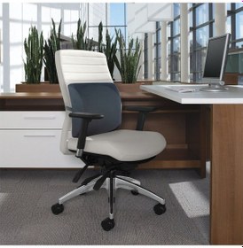 Resim Lüx Ortopedik Sırt Minderi Ofis Araç Koltuk Sandalye Bel Yastığı 