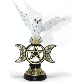 Resim Polyester Baykuş - 9033560372493do 