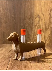 Resim Köpek Laboratuvar ve Kan Tüpü Standı 