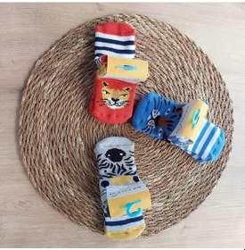 Resim Defne Baby 6 Çift Havlu Pamuklu Kaydırmaz Taban Kışlık Erkek Çocuk Ve Bebek Soket Çorap-756 ÇoK Renkli 