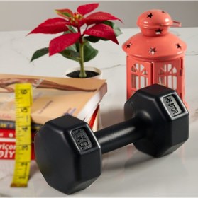 Resim 1kg Dambıl Set 2 Adet Toplam 2 Kg 
