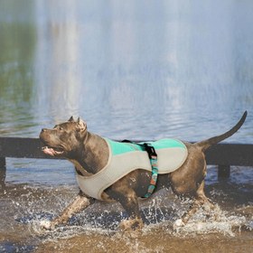 Resim Paw Portal Köpekler İçin Soğutucu Yelek - S / Sarı 