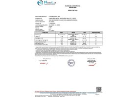 Resim Luxor Kimya -42 Güneş Enerjisi Antifrizi 4 Mevsim 3 Lt 