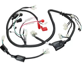 Resim Elektrik tesisatı Longija LJ50QT-9M - 338164 