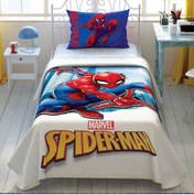 Resim Taç Lisanslı Spiderman Jump Çocuk Pike Takımı 