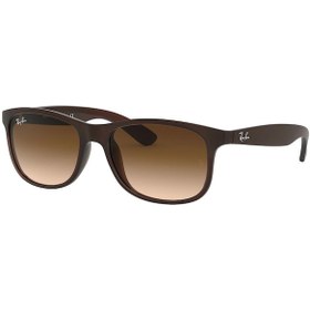 Resim Ray-Ban Rb4202 607313 Erkek Güneş Gözlüğü Ray-Ban