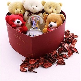 Resim Sevgiliye Hediye Özel Kalp Kutu İçinde Kar Küresi ve Yavru Ayıcıklar Hediye Kutusu 