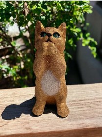 Resim Polyester Kedi Biblo 