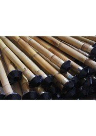 Resim Kız Neyi Kamış Si Karar 