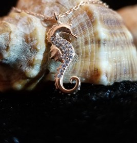 Resim Kadın Deniz Atı 925 Ayar Gümüş Kolye 