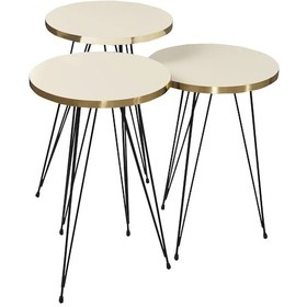 Resim Uslucan Alışveriş Orta Sehpa Elips Siyah Tel Ayak Çift Altın Krem Çok Renkli 