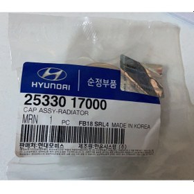 Resim Accent Getz Radyatör Kapağı 0.9 Hyundai 2533017000 N11.5 