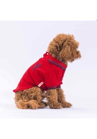 Resim Pawstar Kırmızı Marine Polo Yaka Kedi Köpek Tişörtü 