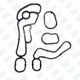 Resim AKD 93745802 Yağ Soğutucu Oring Takımı C140 Captiva 93745803 İle Birlikte 