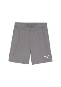 Resim Puma Teamgoal Shorts Erkek Futbol Antrenman Şortu 70575213 Gri Gri 