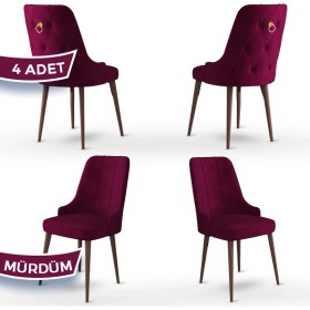 Resim Canisa Concept Enoa Serisi , 4 Adet Sandalye, Ceviz Gürgen Ayak 