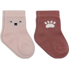 Resim Bistyle Bear Penye Soket Çorap 2'li Bs10116 Pembe Pembe 