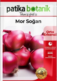 Resim 450 Adet Yerli Ata Mor Soğan Tohumu 