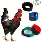 Resim 2 adet Pet Tavuk Yaka Horoz Yaka Anti-Hook Gürültüsüz Boyun Bandı Tavukların Bağırmasını Önleyin 