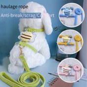 Resim Köpek Tasma Yelek Stili Yürüyüş Tasma Küçük Arı Köpek Zinciri Orta Küçük Köpek Teddy Corgi Evcil Hayvan Malzemeleri Kedi Tasma Kendi Üretimi ve Satılan Ürünler Avantajlarıyla 