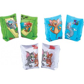 Resim B1130 Deniz Kolluk (25*17 cm) 