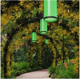 Resim Yeşil Kapsul Ağaç Feneri, Doğa ve Şıklık Uyumunda Güzel Bir Seçim 