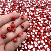 Resim 30/50/100 adet Mini Ahşap Kadın Böcekleri, Kırmızı, Etiketler ile, DIY El Sanatları, Kart Yapımı, Bahçe Parti Dekoru, Oda Dekorasyonu için Mükemmel, Bahar, Yaz, Sonbahar, Kış 