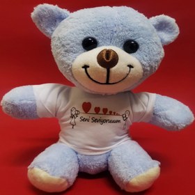 Resim Seni Seviyorum Tişörtlü Peluş Ayıcık 