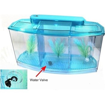 Pazly Mini Akvaryum Seti - Betta Balığı İzole Edici, Mavi, Tekli, 10.6x7.6x13.5 Cm, Ofis Ve Ev İçin