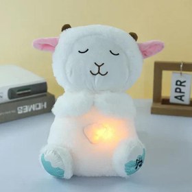 Resim Nefes Alan Uyku Arkadaşı Kuzu 