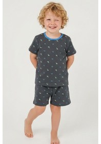 Resim Breeze Erkek Bebek Şortlu Pijama Takım Renkli Dinozor Desenli 9 Ay-3 Yaş, Antrasit 