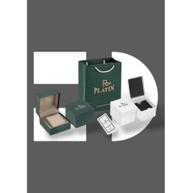 Resim Platin Pierre HDS-PL-1072GA-G2 Çelik Kordon Fonksiyonları Aktif Erkek Kol Saati 