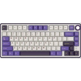 Resim Royal Kludge RKR 75-BY-KY 75% Kablolu US Klavye 