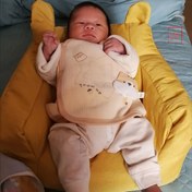 Resim 1 Rahat Evcil Hayvan Kanepe, Çocuk Ürünü, Yumuşak ve Sıcak Kumaş. Kedi ve Köpekler İçin Uygun—Yumuşak Peluş Çıkarılabilir Kılıf, Yıkanabilir 