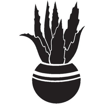 Saksı Çiçeği Kaktüs Oto-motor-laptop-duvar-dekor Tip 4 10 X 22 Cm