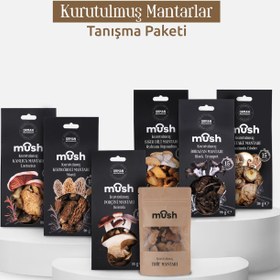 Resim Kurutulmuş Mantarlar Tanışma Seti 