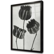 Resim Siyah Beyaz Üçlü Çiçekler Çerçeveli Cam Tablo-172043 
