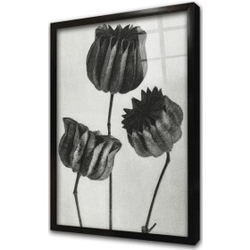 Resim Siyah Beyaz Üçlü Çiçekler Çerçeveli Cam Tablo-172043 