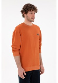 Resim U.S. Polo Assn. Erkek Comfort Fit Bisiklet Yaka Tarçın Sweatshirt 50290777-VR191 